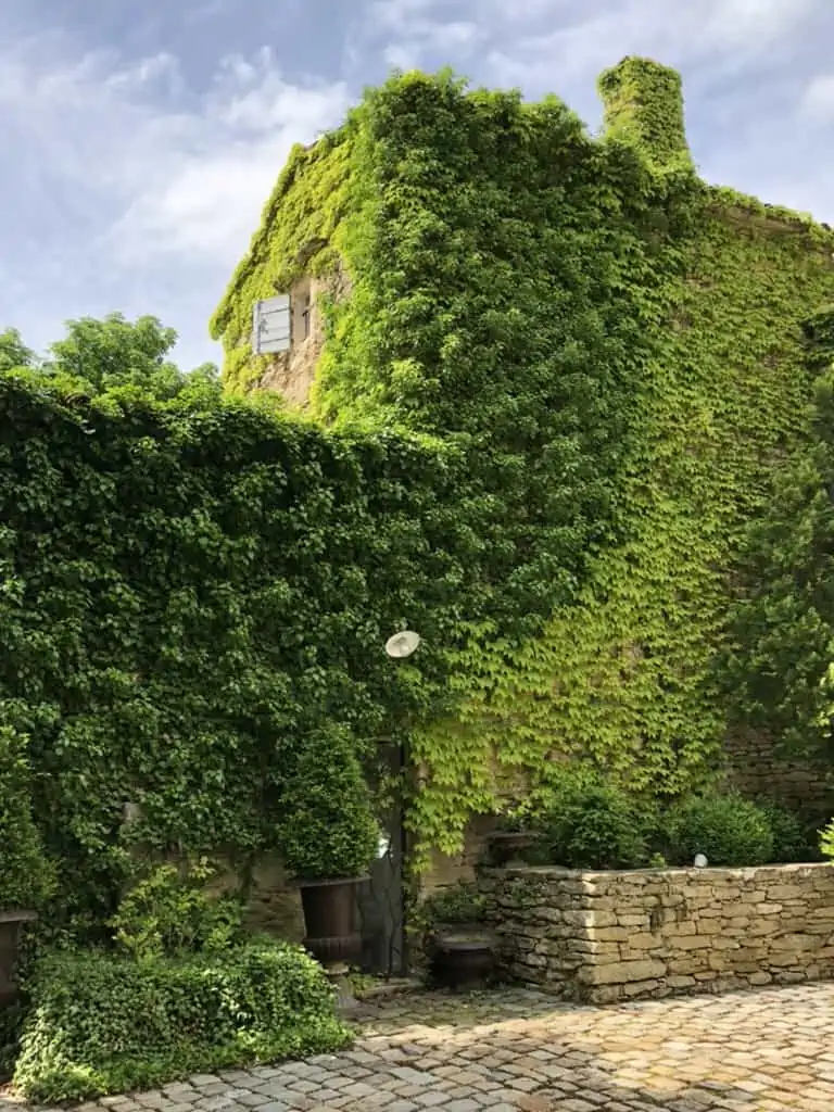 Gordes - Gordes Hotel - Villa Hautvallon photo of beautiful hotel with ivy