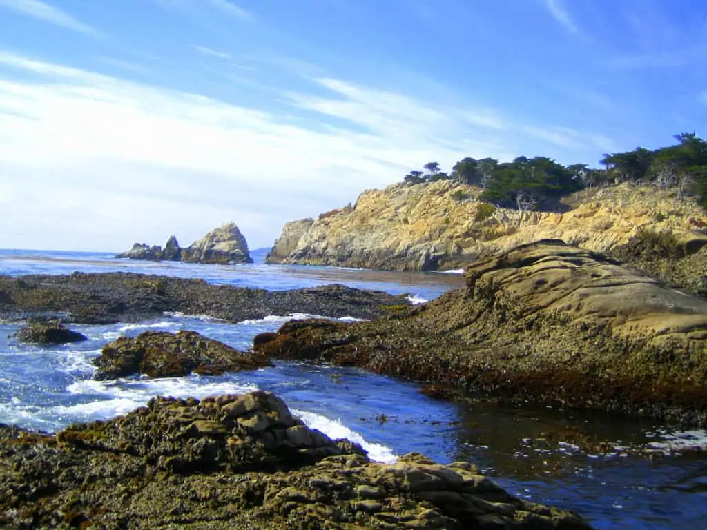 Pacific Coast Highway road trip to see Point Lobos State Natural Reserve