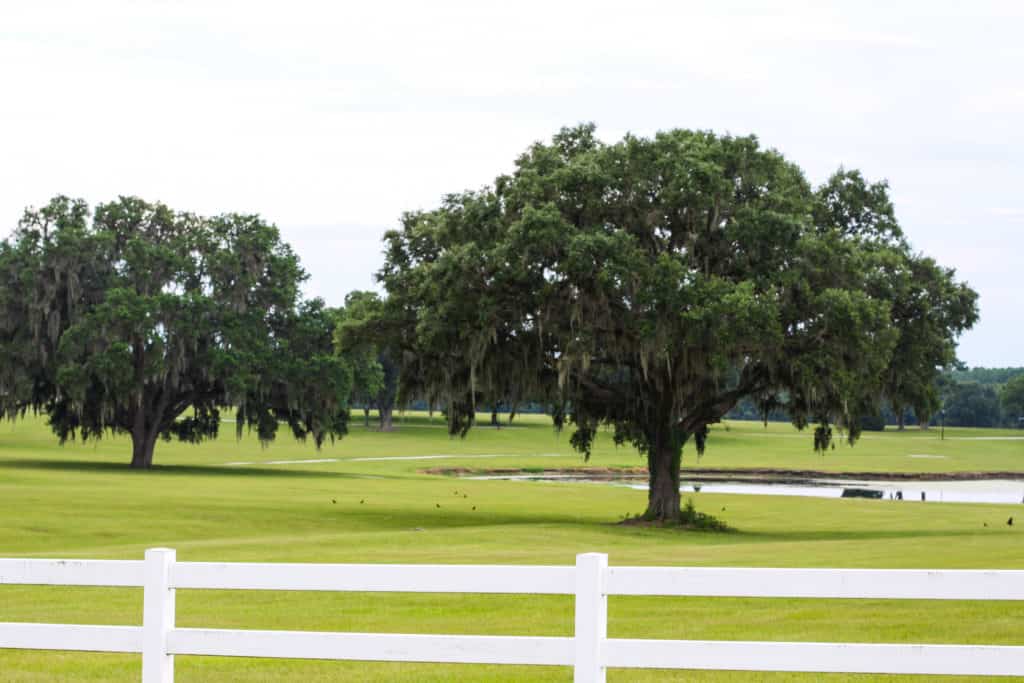 Hwy 27 Farm - Ocala Equestrian Scenic Drive 