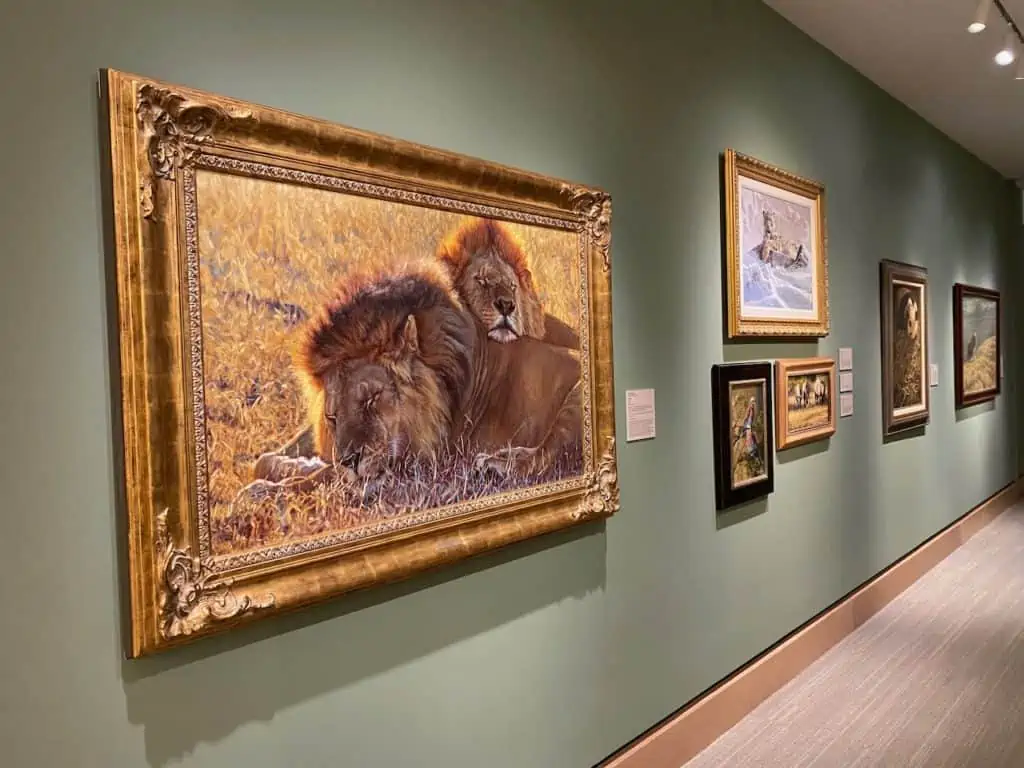 Best kids things to do in tampa bay - check out these lions and wildlife art gallery. kids activities near sand key civic association clearwater tampa pinellas