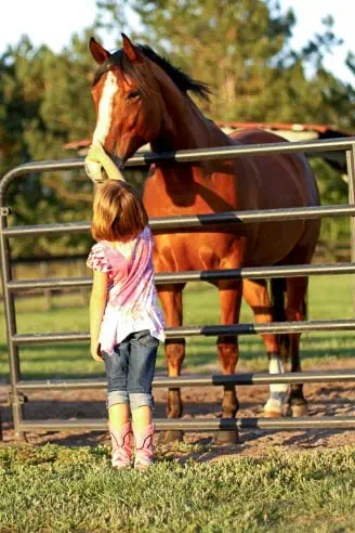 Ocala Equestrian Farms, little girl petting a horse on horse farms near ocala fl
