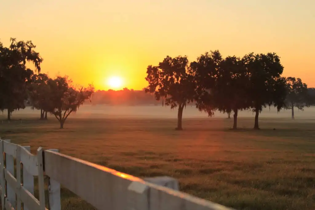 World Equestrian Center Ocala Equestrian Scenic Drive - with a beautiful susnset.