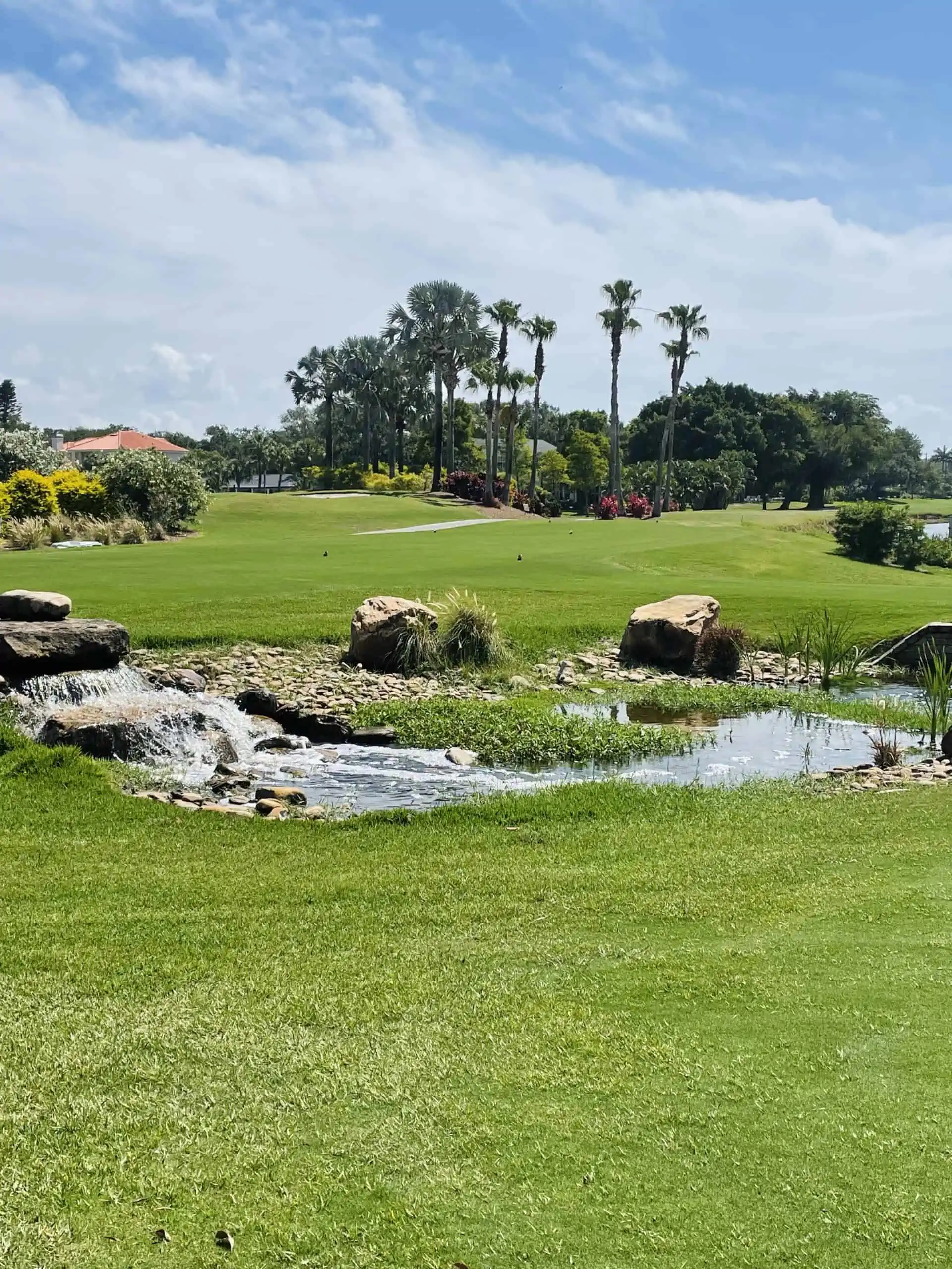Pinellas County Golf courses - vinoy golf club