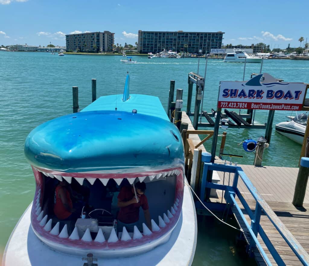 things to do in Madeira beach - shark tours photo