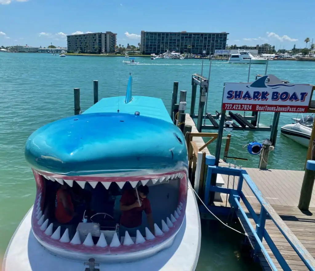 things to do in Madeira beach - shark tours photo