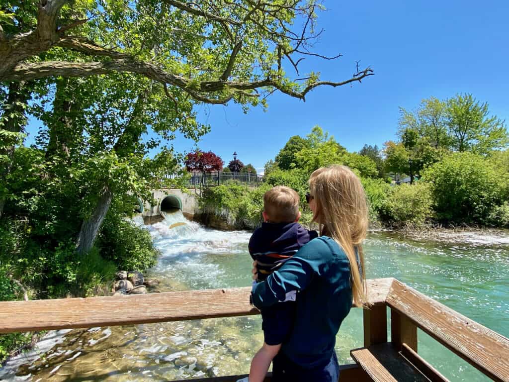 After eating at Pearls Elk Rapids - stop and look at the gorgeous rapids in town.