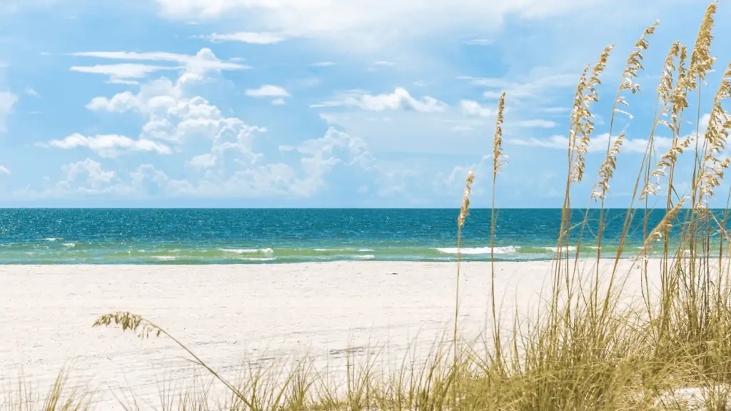 Gorgeous beach photo with waves, white sandy beaches and grass on a sunny day in St Pete Beach, Florida.