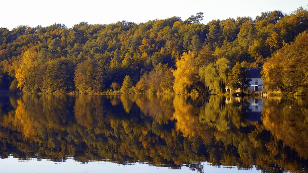 Loire Valley Trip from Paris, and photo of the river in the region with fall colors.