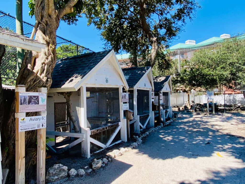 Photo inside the Seaside Seabird Santuary.