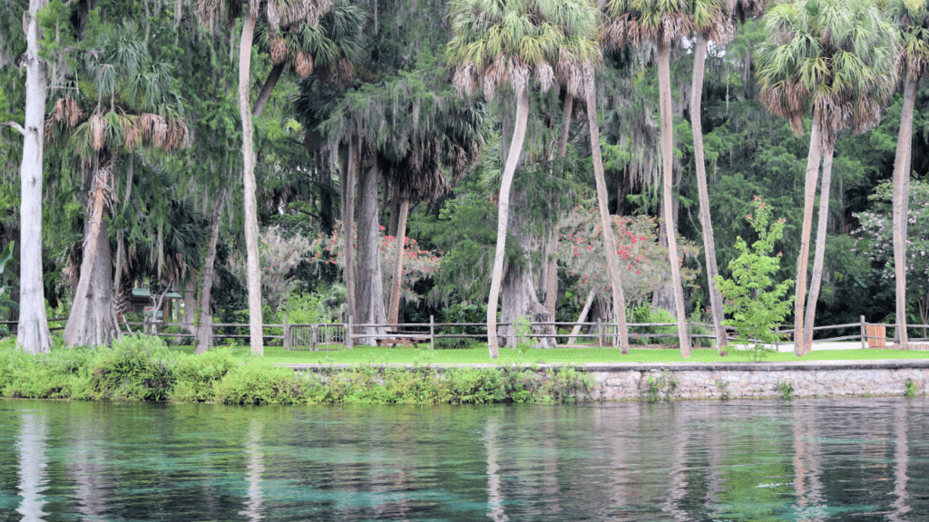 Silver Springs Ocala, FL