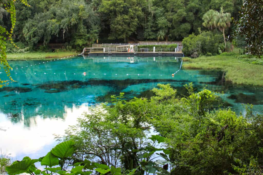 Rainbow Springs Swimming