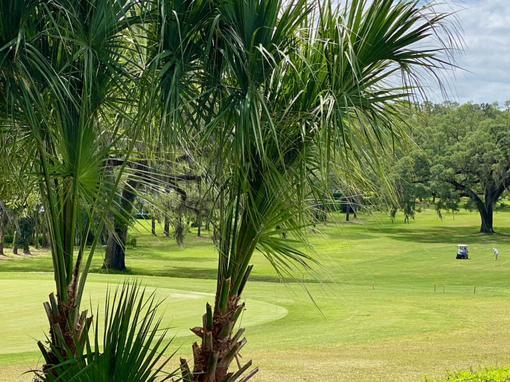 Golfing in Ocala, showing rolling hills and green with golfer in the distance hitting their golf ball. 