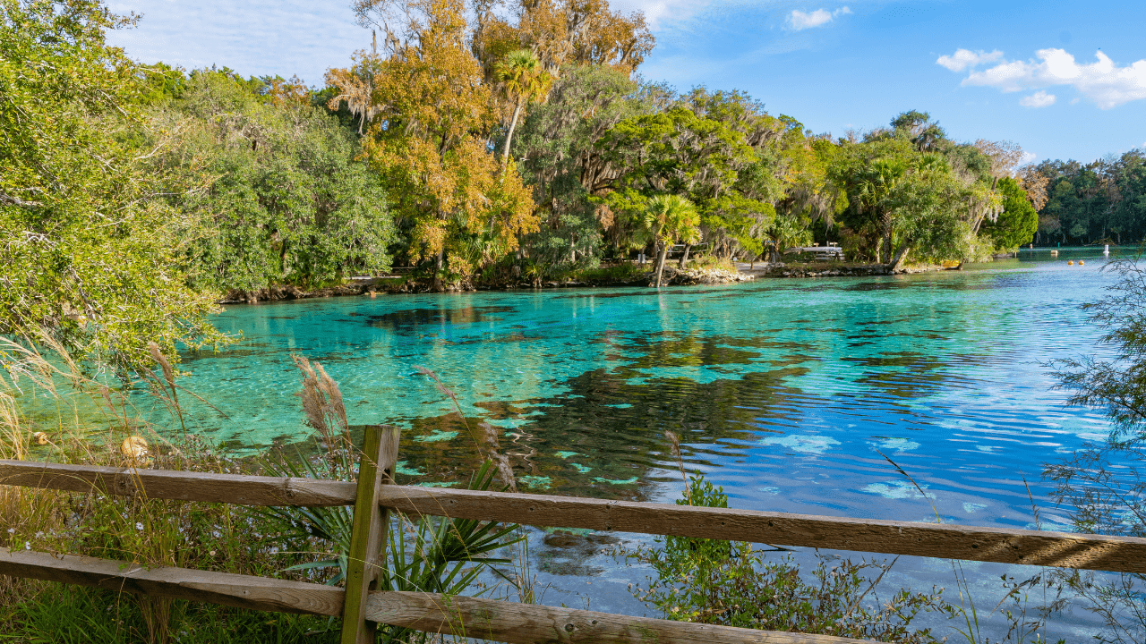 silver springs state park in ocala, fl