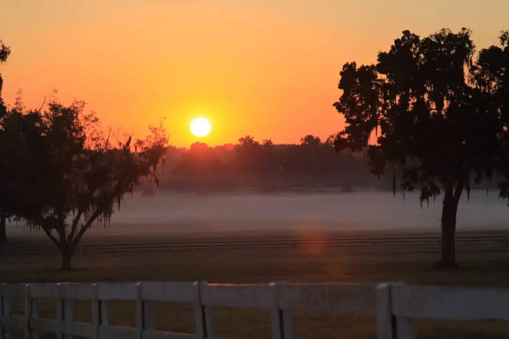 Ocala sunset photo, it's just a short drive on highway 326 from the hotels in ocala 