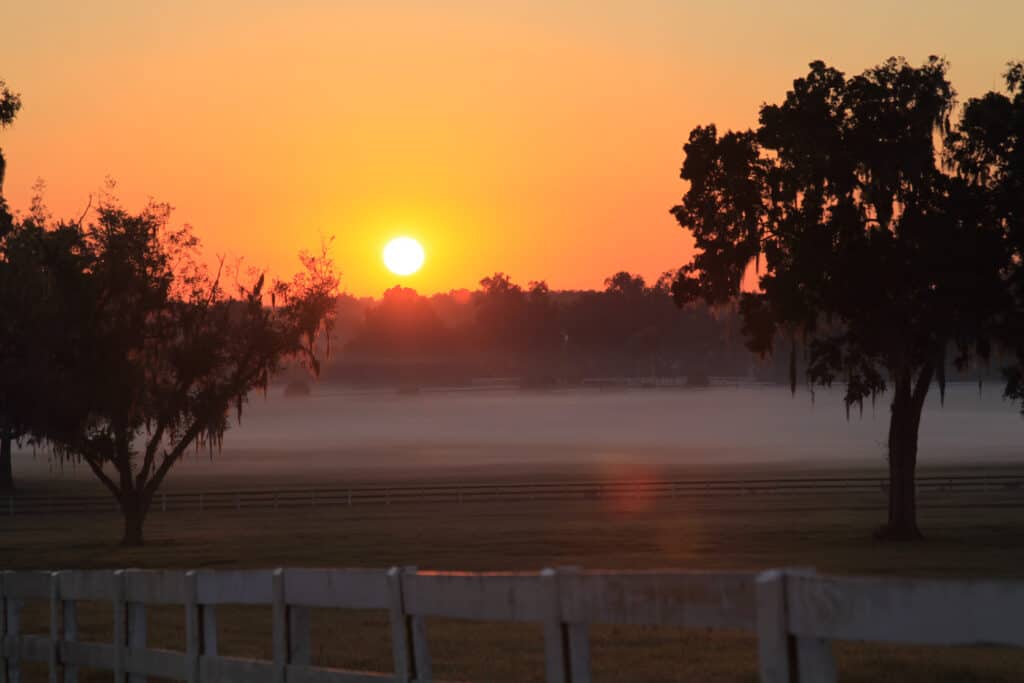 Sunset photo of an Ocala Horse Farm