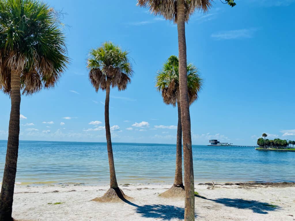 View from North Shore Park 