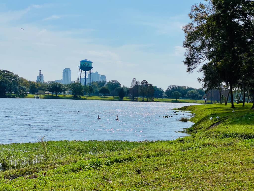 Crescent Lake photo of birds and wildlife on the lake with the water tower in the distance. 