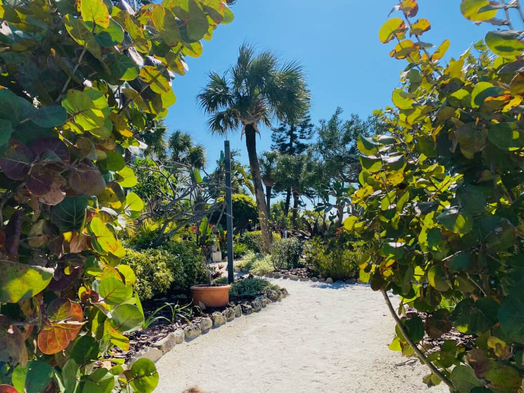 Inside the Secret Garden at Upham Beach Park.  It's full of beautiful lush landscaping. 