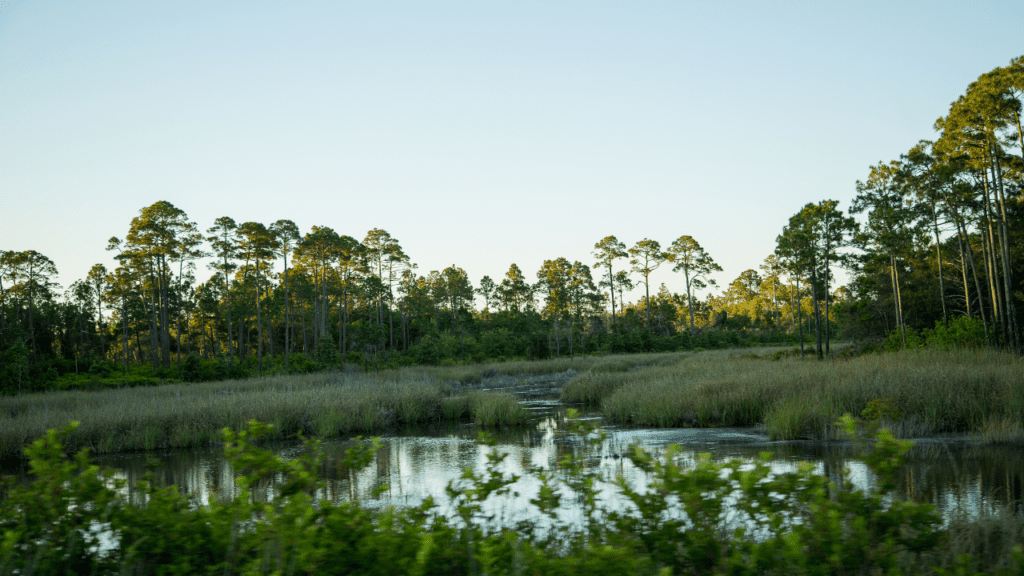 lake view along 30a at sunrise