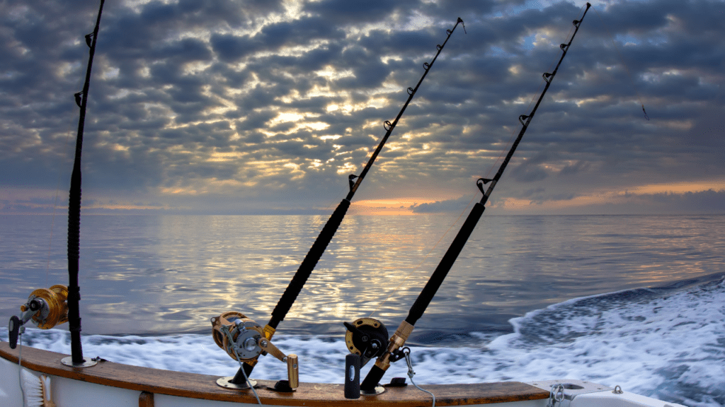 fishing rods on the back of the boat