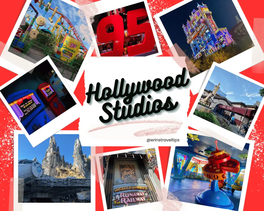 Hollywood Studios collage of Erin's photos