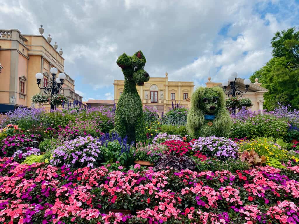 flower festival photo of lady and tramp charters surrounded by pink and purple and yellow flowers