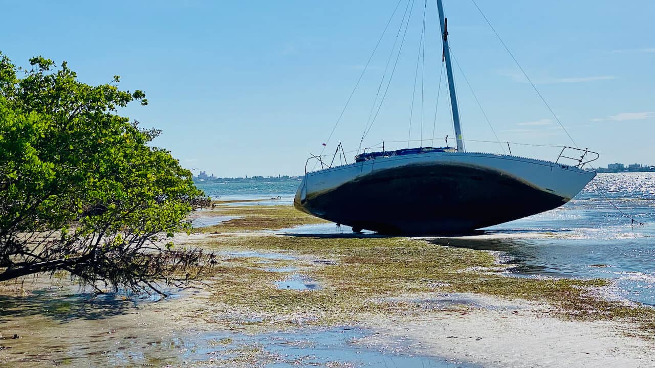 Red Tide in St Pete Beach showing the shore with a boat washed up and dead fish