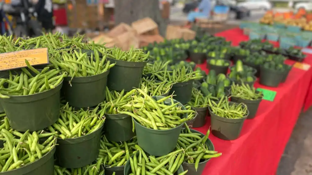 Downtown St Pete Farmer's Market showing green beans and fresh produce.
