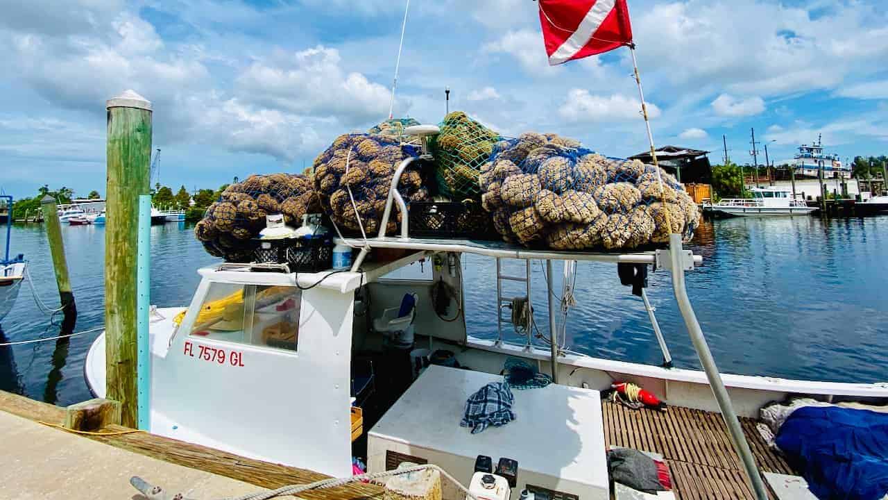 Tarpon Springs Sponge Docks, photo of boat with sponges