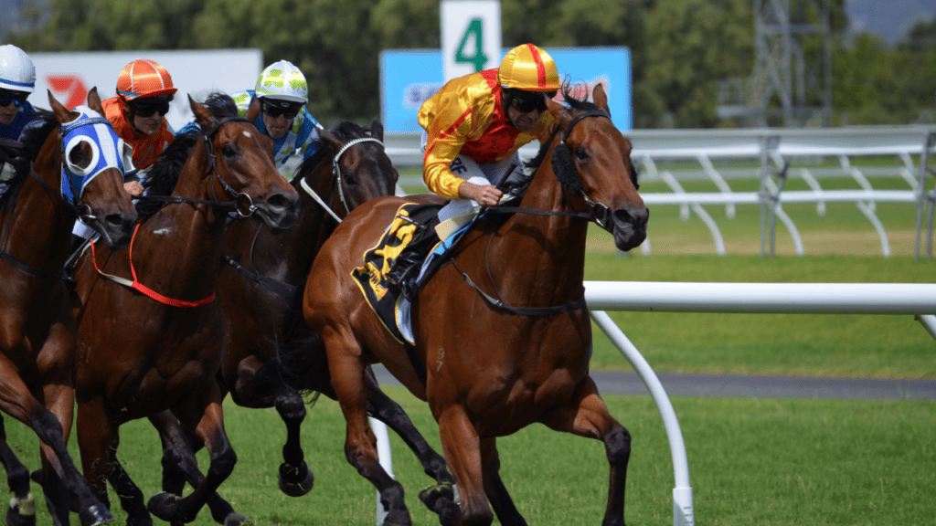 horses racing on the track