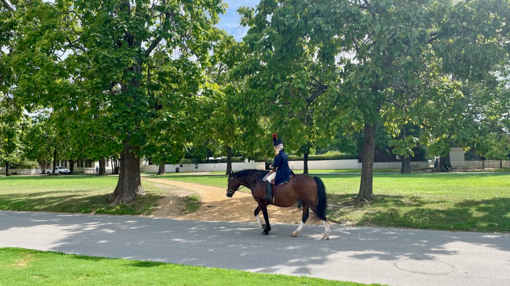 Colonial Williamsburg horse and rider