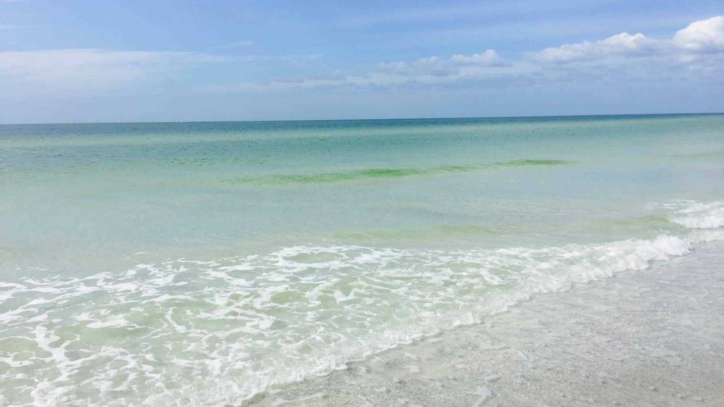 Crystal clear waters in St Pete Beach - Pass-a-Grille Beach. The water is clean and fresh without litter.  It's an ideal place to spend with the family.